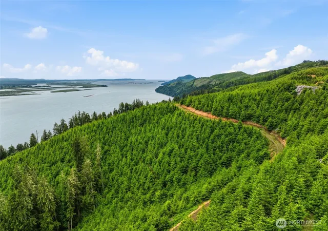 Photo 3 of Land for sale at 0 Pid 2169 State Route 4 Hwy, Skamokawa, WA 98674 | MLS# NWM2549289 | Listing updated on 2026-09-22