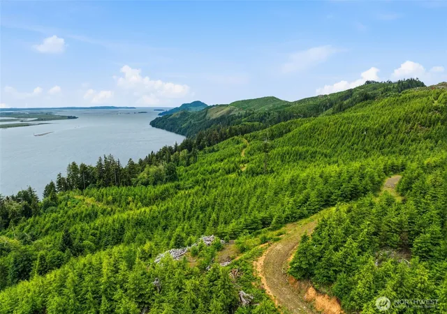 Photo 4 of Land for sale at 0 Pid 2169 State Route 4 Hwy, Skamokawa, WA 98674 | MLS# NWM2549289 | Listing updated on 2026-09-22