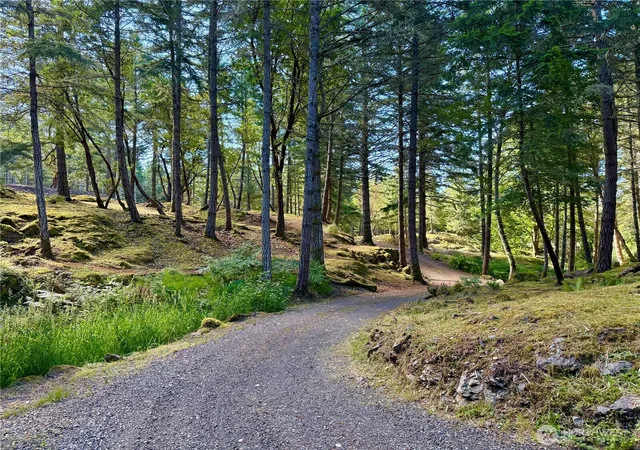 Photo 3 of Land for sale at 0 Kiya Way, Friday Harbor, WA 98250 | MLS# NWM2549421 | Listing updated on 2026-09-22