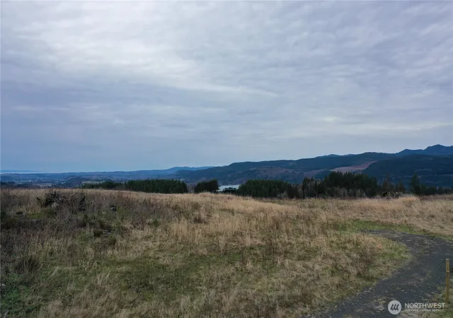 Photo 3 of Land for sale at 4 Hagen Rd, Mossyrock, WA 98564 | MLS# NWM2549429 | Listing updated on 2026-09-22