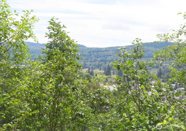 Photo 3 of Land for sale at 0 Xxx Coleman Rd, Mossyrock, WA 98564 | MLS# NWM2549498 | Listing updated on 2026-09-22