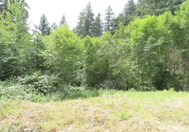 Photo 4 of Land for sale at 0 Xxx Coleman Rd, Mossyrock, WA 98564 | MLS# NWM2549498 | Listing updated on 2026-09-22