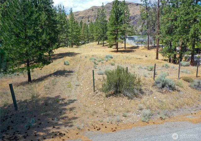 Photo 4 of Land for sale at 113 Crumbacher Rd, Tonasket, WA 98855 | MLS# NWM2549508 | Listing updated on 2026-09-22