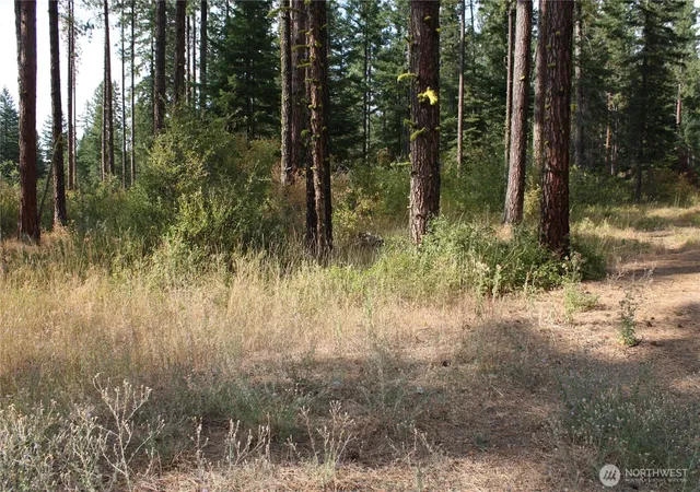 Photo 1 of Land for sale at 901 Horvatt Rd, Roslyn, WA 98941 | MLS# NWM2549540 | Listing updated on 2026-09-22