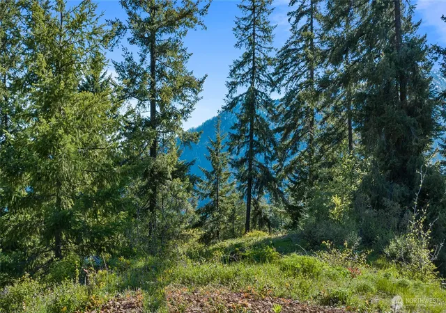 Photo 1 of Land for sale at 40 Newport Crk Loop, Ronald, WA 98940 | MLS# NWM2549553 | Listing updated on 2026-09-22