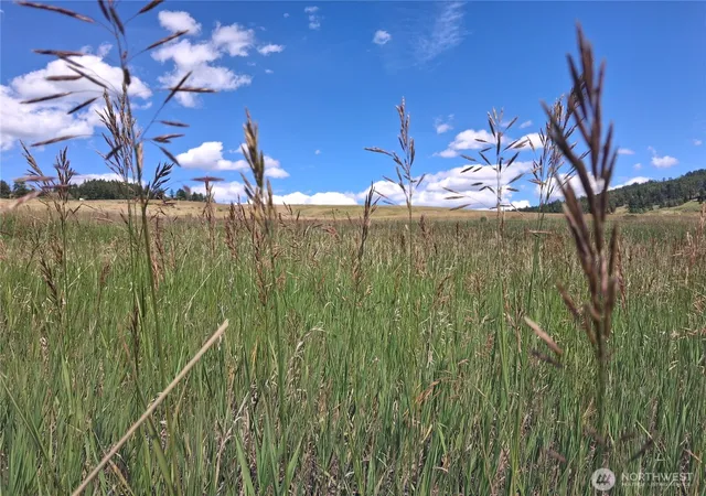 Photo 2 of Land for sale at 1 Fletcher/rd 225 Rd, Oroville, WA 98840 | MLS# NWM2549640 | Listing updated on 2026-09-22