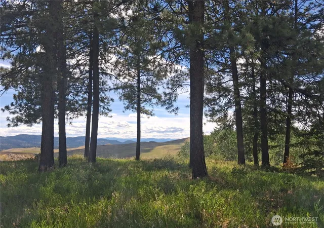 Photo 3 of Land for sale at 1 Fletcher/rd 225 Rd, Oroville, WA 98840 | MLS# NWM2549640 | Listing updated on 2026-09-22
