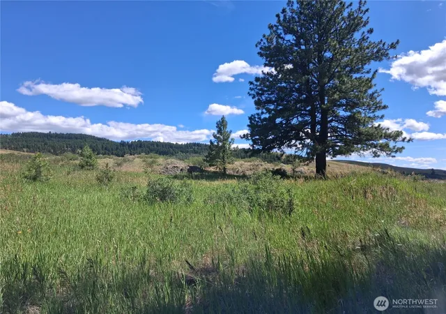 Photo 1 of Land for sale at 1 Fletcher/rd 225 Rd, Oroville, WA 98840 | MLS# NWM2549640 | Listing updated on 2026-09-22