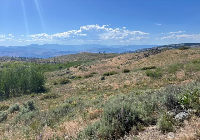 Photo 2 of Land for sale at 0 Lot 12 Lone Spur Rd, Oroville, WA 98844 | MLS# NWM2549671 | Listing updated on 2026-09-22