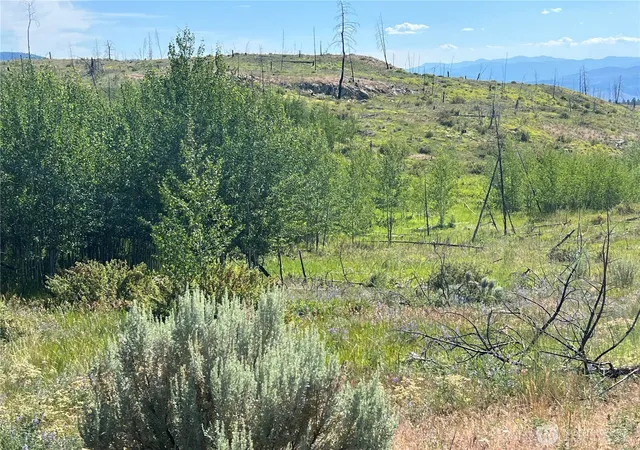 Photo 3 of Land for sale at 0 Lot 12 Lone Spur Rd, Oroville, WA 98844 | MLS# NWM2549671 | Listing updated on 2026-09-22