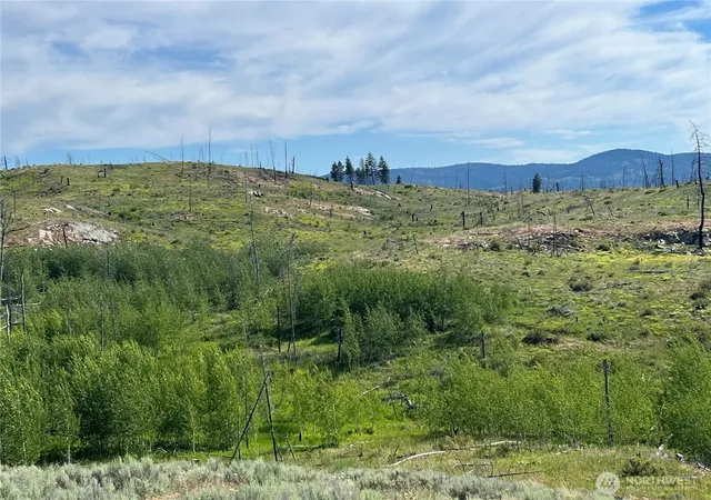 Photo 3 of Land for sale at 0 Lot 12 Lone Spur Rd, Oroville, WA 98844 | MLS# NWM2549671 | Listing updated on 2026-09-22