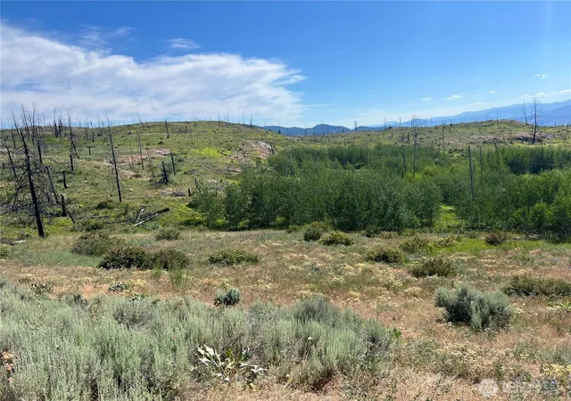 Photo 4 of Land for sale at 0 Lot 12 Lone Spur Rd, Oroville, WA 98844 | MLS# NWM2549671 | Listing updated on 2026-09-22