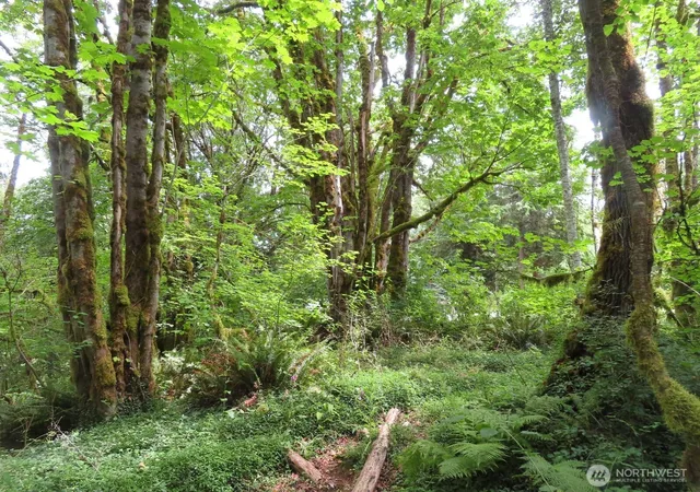 Photo 1 of Land for sale at 0 Lot 11 Valley View Dr, Mossyrock, WA 98564 | MLS# NWM2549705 | Listing updated on 2026-09-22