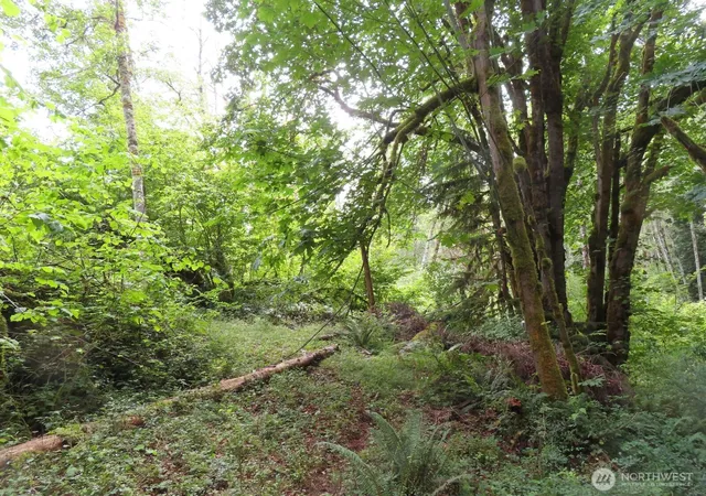 Photo 2 of Land for sale at 0 Lot 11 Valley View Dr, Mossyrock, WA 98564 | MLS# NWM2549705 | Listing updated on 2026-09-22