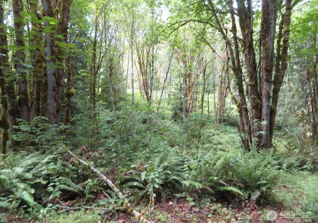 Photo 3 of Land for sale at 0 Lot 11 Valley View Dr, Mossyrock, WA 98564 | MLS# NWM2549705 | Listing updated on 2026-09-22