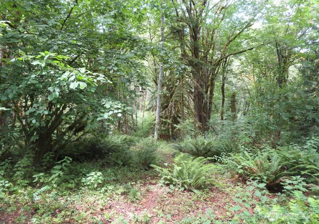 Photo 3 of Land for sale at 0 Lot 11 Valley View Dr, Mossyrock, WA 98564 | MLS# NWM2549705 | Listing updated on 2026-09-22
