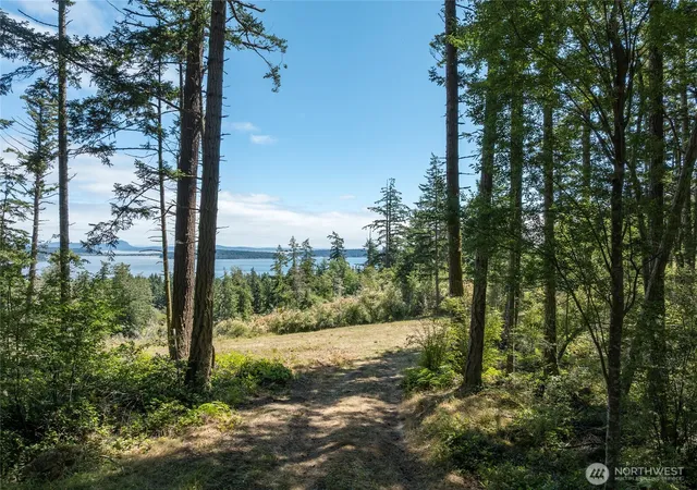 Photo 2 of Land for sale at 207 Suntides Ln, Lopez, WA 98261 | MLS# NWM2549767 | Listing updated on 2026-09-22