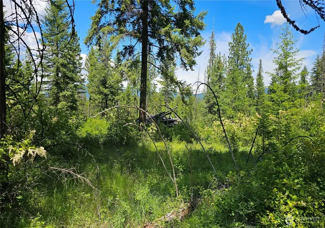 Photo 1 of Land for sale at 432 X Bussard Lake Rd, Loon Lake, WA 99148 | MLS# NWM2549821 | Listing updated on 2026-09-22