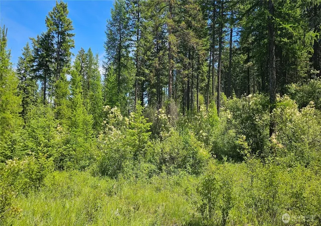 Photo 2 of Land for sale at 432 X Bussard Lake Rd, Loon Lake, WA 99148 | MLS# NWM2549821 | Listing updated on 2026-09-22