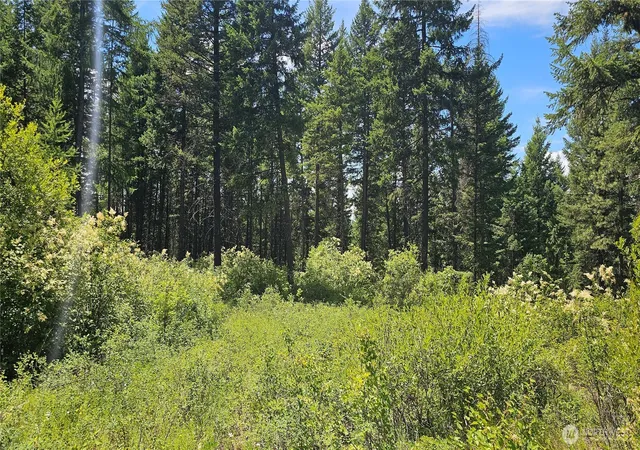 Photo 3 of Land for sale at 432 X Bussard Lake Rd, Loon Lake, WA 99148 | MLS# NWM2549821 | Listing updated on 2026-09-22