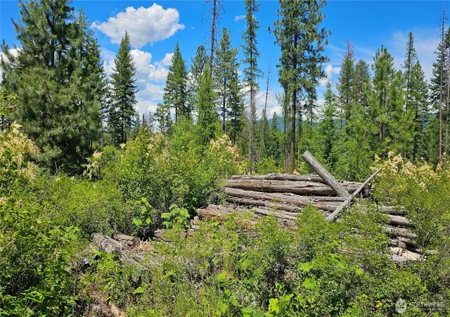 Photo 3 of Land for sale at 432 X Bussard Lake Rd, Loon Lake, WA 99148 | MLS# NWM2549821 | Listing updated on 2026-09-22