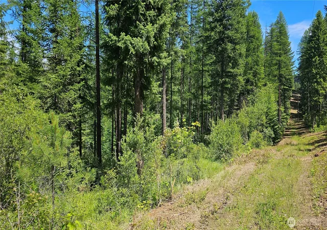 Photo 4 of Land for sale at 432 X Bussard Lake Rd, Loon Lake, WA 99148 | MLS# NWM2549821 | Listing updated on 2026-09-22