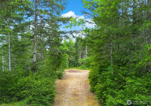 Photo 1 of Land for sale at 0 Rustic Ridge Dr, Lilliwaup, WA 98555 | MLS# NWM2549892 | Listing updated on 2026-09-22
