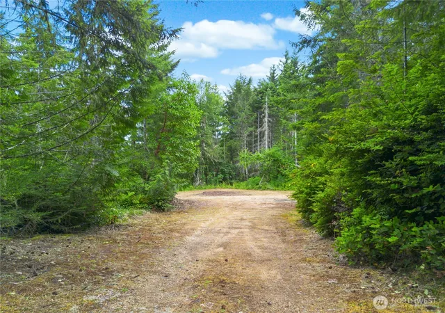 Photo 3 of Land for sale at 0 Rustic Ridge Dr, Lilliwaup, WA 98555 | MLS# NWM2549892 | Listing updated on 2026-09-22
