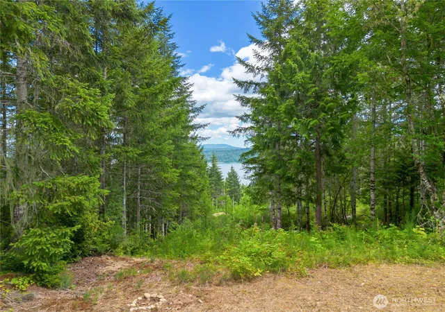 Photo 4 of Land for sale at 0 Rustic Ridge Dr, Lilliwaup, WA 98555 | MLS# NWM2549892 | Listing updated on 2026-09-22
