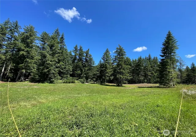 Photo 1 of Sale Pending at 0 Xx Lynch Rd, Mc Cleary, WA 98557 | MLS# NWM2549948 | Listing updated on 2026-09-24