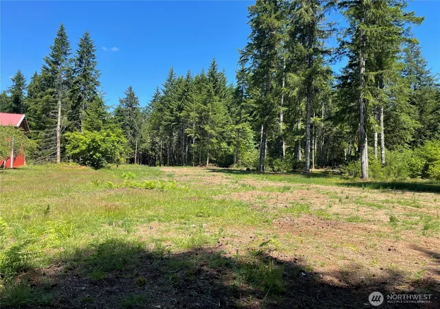 Photo 3 of Sale Pending at 0 Xx Lynch Rd, Mc Cleary, WA 98557 | MLS# NWM2549948 | Listing updated on 2026-09-24