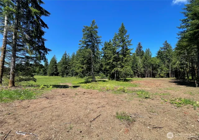 Photo 3 of Sale Pending at 0 Xx Lynch Rd, Mc Cleary, WA 98557 | MLS# NWM2549948 | Listing updated on 2026-09-24