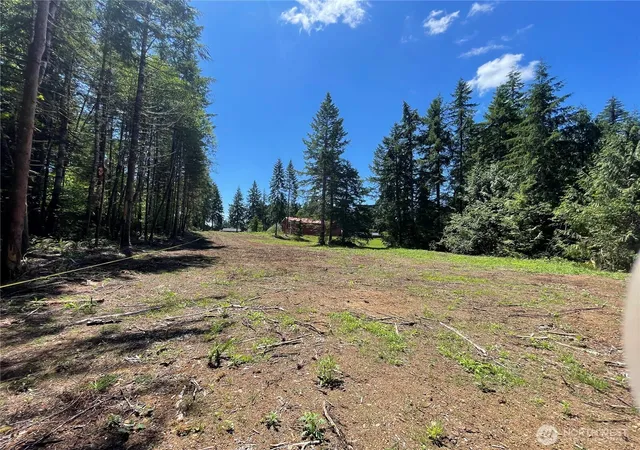 Photo 4 of Sale Pending at 0 Xx Lynch Rd, Mc Cleary, WA 98557 | MLS# NWM2549948 | Listing updated on 2026-09-24