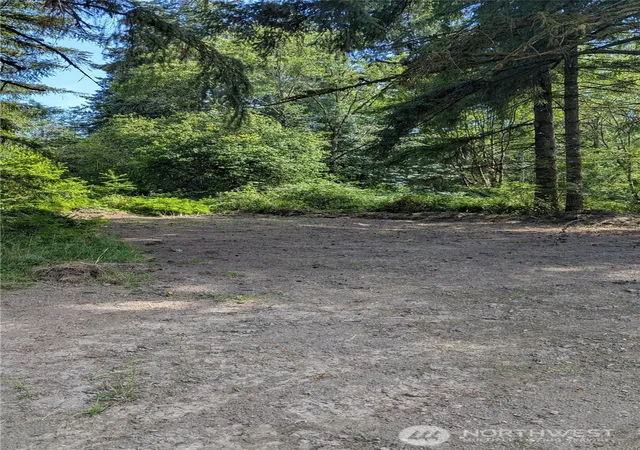 Photo 3 of Land for sale at 196 Jensen Rd, Onalaska, WA 98570 | MLS# NWM2550033 | Listing updated on 2026-09-30