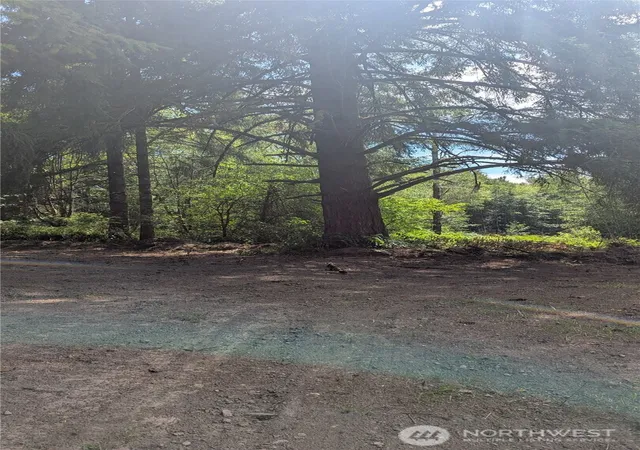 Photo 4 of Land for sale at 196 Jensen Rd, Onalaska, WA 98570 | MLS# NWM2550033 | Listing updated on 2026-09-30