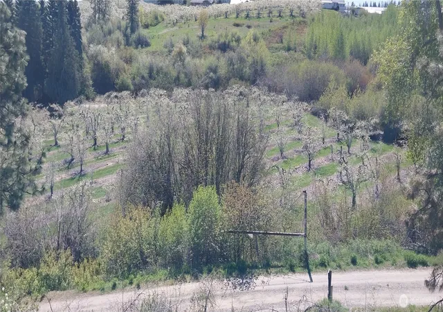 Photo 1 of Land for sale at 8010 Green Rd, Peshastin, WA 98847 | MLS# NWM2550090 | Listing updated on 2026-09-22
