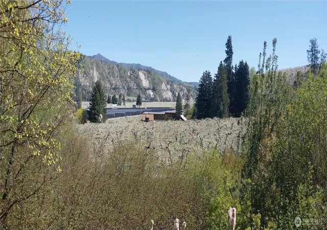 Photo 3 of Land for sale at 8010 Green Rd, Peshastin, WA 98847 | MLS# NWM2550090 | Listing updated on 2026-09-22