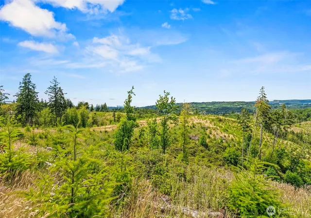 Photo 4 of Land for sale at 0 Lot A Holcomb Rd, Kelso, WA 98626 | MLS# NWM2550194 | Listing updated on 2026-09-22