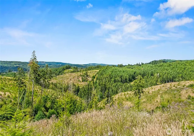 Photo 3 of Land for sale at 0 Lot C Holcomb Rd, Kelso, WA 98626 | MLS# NWM2550203 | Listing updated on 2026-09-22
