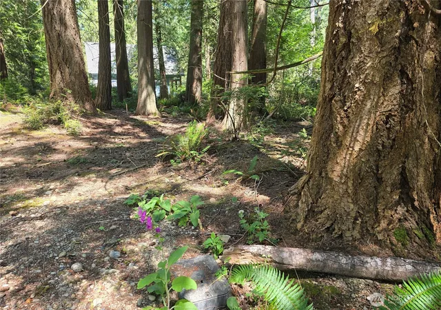 Photo 1 of Land for sale at 133 E Barnacle Blvd, Shelton, WA 98584 | MLS# NWM2550383 | Listing updated on 2026-09-22