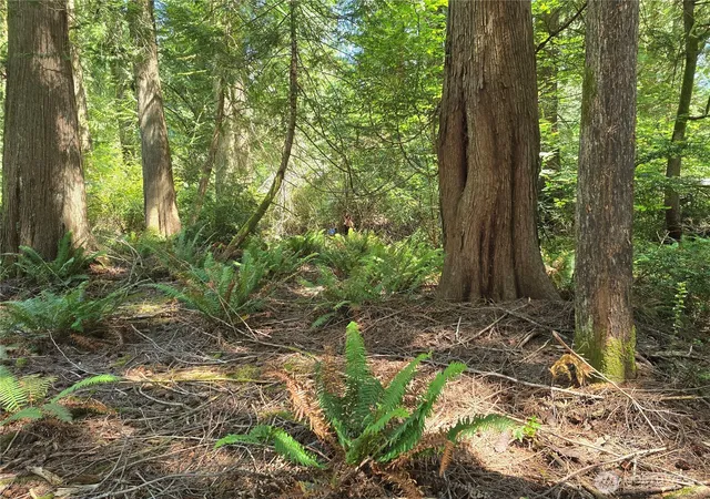 Photo 3 of Land for sale at 133 E Barnacle Blvd, Shelton, WA 98584 | MLS# NWM2550383 | Listing updated on 2026-09-22