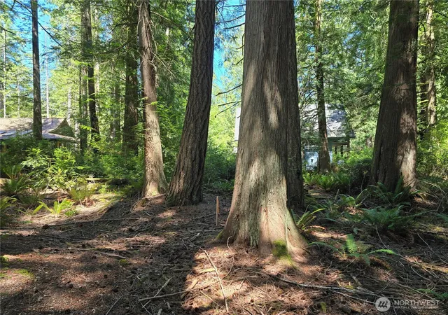 Photo 3 of Land for sale at 133 E Barnacle Blvd, Shelton, WA 98584 | MLS# NWM2550383 | Listing updated on 2026-09-22
