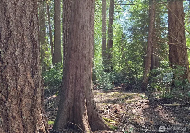 Photo 4 of Land for sale at 133 E Barnacle Blvd, Shelton, WA 98584 | MLS# NWM2550383 | Listing updated on 2026-09-22