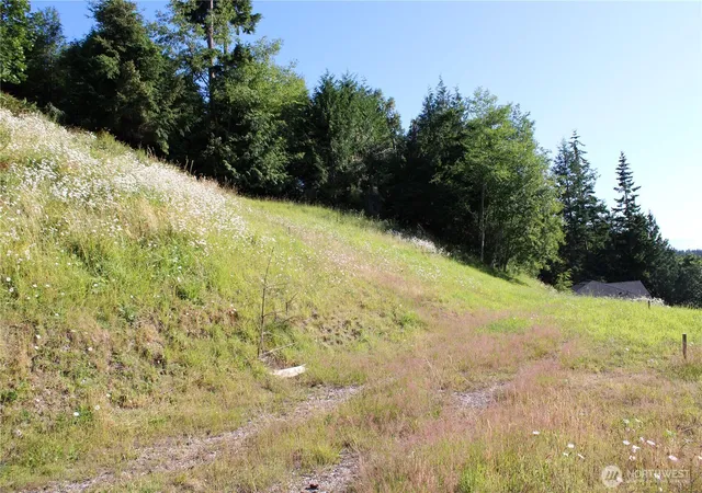 Photo 3 of Land for sale at 1076 Malvern Hills Dr, Camano Island, WA 98282 | MLS# NWM2550433 | Listing updated on 2026-09-22