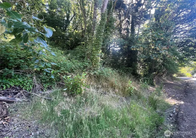 Photo 3 of Land for sale at 0 Allen Dr, Kelso, WA 98626 | MLS# NWM2550474 | Listing updated on 2026-09-21