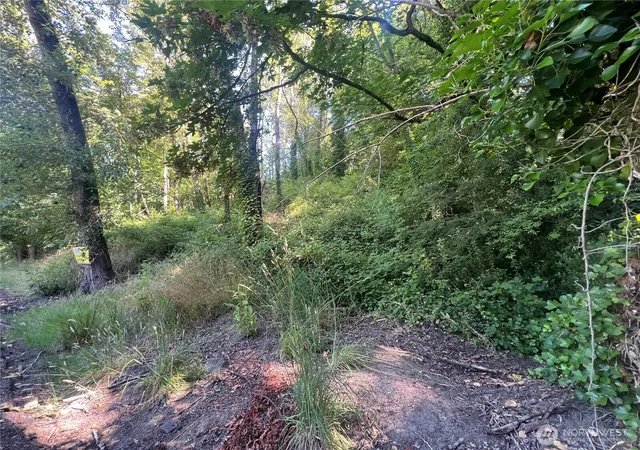 Photo 3 of Land for sale at 0 Allen Dr, Kelso, WA 98626 | MLS# NWM2550474 | Listing updated on 2026-09-21