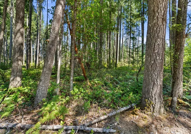 Photo 2 of Land for sale at 1030 E Phillips Lake Rd, Shelton, WA 98584 | MLS# NWM2550595 | Listing updated on 2026-09-22
