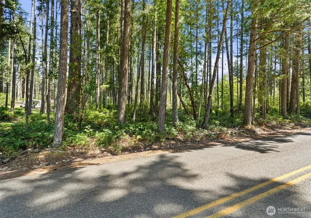 Photo 3 of Land for sale at 1030 E Phillips Lake Rd, Shelton, WA 98584 | MLS# NWM2550595 | Listing updated on 2026-09-22