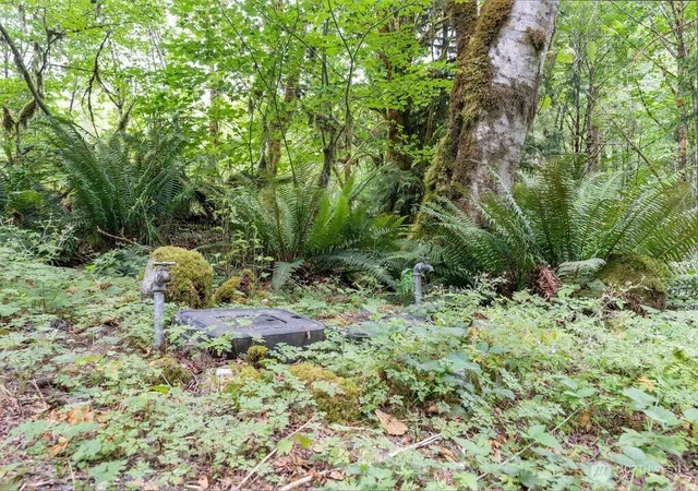 Photo 4 of Land for sale at 872 High Ridge Dr, Marblemount, WA 98267 | MLS# NWM2550596 | Listing updated on 2026-09-22