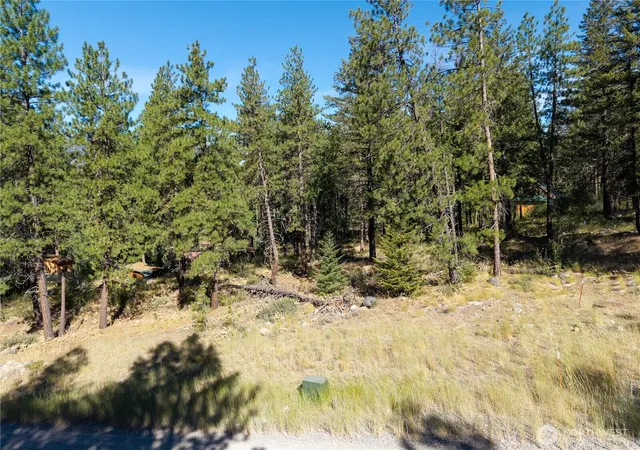 Photo 3 of Land for sale at 16 Highland Meadow Rd, Winthrop, WA 98862 | MLS# NWM2550847 | Listing updated on 2026-09-22